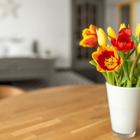 Spacious Ultracentral Apartment Клуж-Напока Екстериор снимка