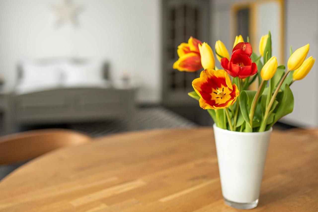 Spacious Ultracentral Apartment Клуж-Напока Екстериор снимка